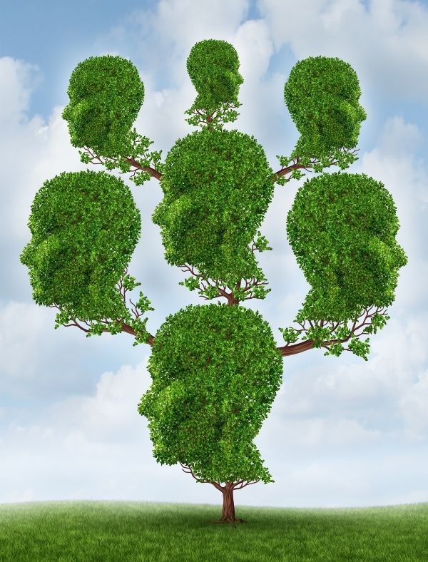 estudiar_árbol